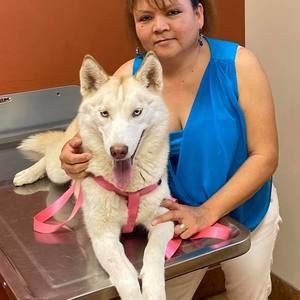 Meet your Posher, Eva